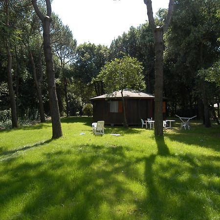 Residence Il Fortino Marina di Massa Bagian luar foto