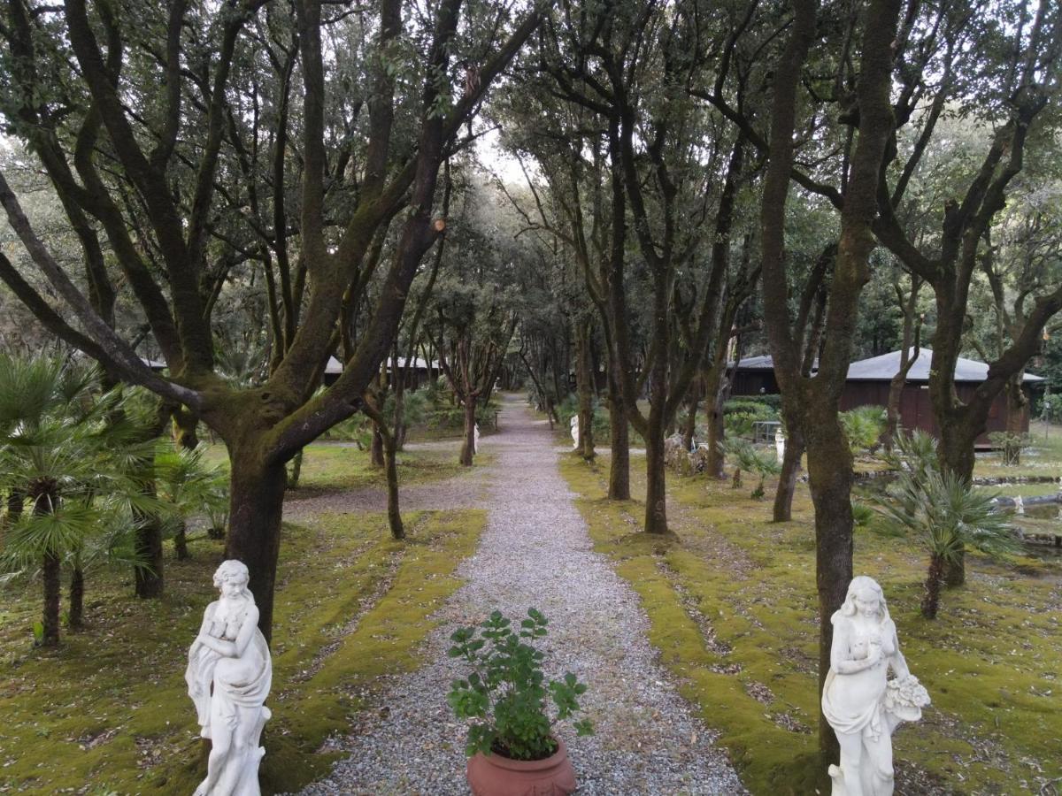 Residence Il Fortino Marina di Massa Bagian luar foto